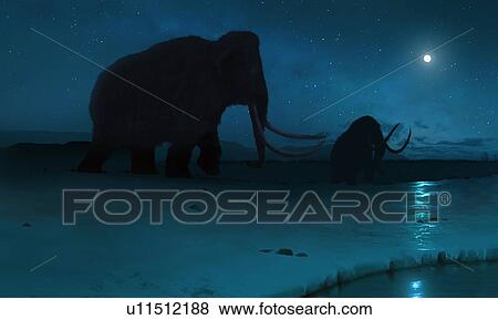 Stock Photo - Tundra mammoth, illustration. Fotosearch