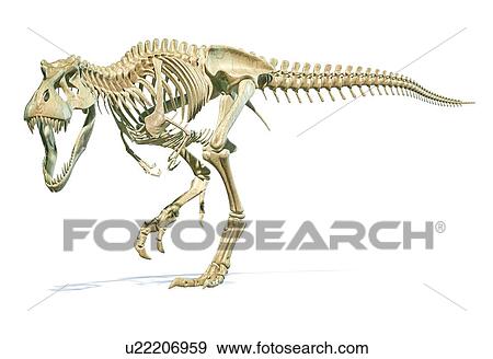 Tyrannosaurus Rex dinosaur, illustration View Large Photo Image Stock Photo - Tyrannosaurus Rex dinosaur, illustration. Fotosearch