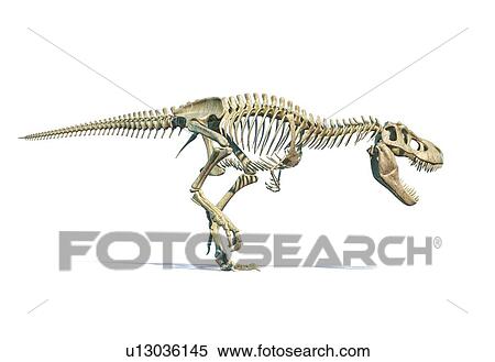 Stock Photography - Tyrannosaurus Rex dinosaur, illustration. Fotosearch