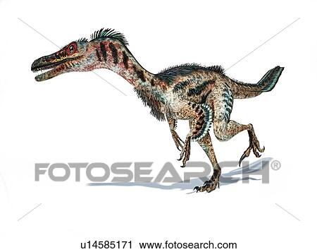 Stock Image - Velociraptor dinosaur, illustration. Fotosearch
