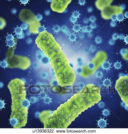 Viral and bacterial infection, illustration View Large Photo Image Stock Image - Viral and bacterial infection, illustration. Fotosearch
