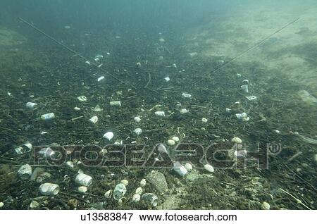 Water pollution View Large Photo Image Stock Photo - Water pollution. Fotosearch
