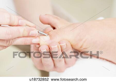 Woman having pedicure View Large Photo Image Stock Image - Woman having pedicure. Fotosearch