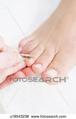 Woman having pedicure View Large Photo Image Stock Photo - Woman having pedicure. Fotosearch
