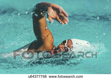 Woman swimming front crawl View Large Photo Image Stock Photo - Woman swimming front crawl. Fotosearch