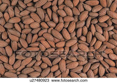 Almonds, full frame. View Large Photo Image Stock Image - Almonds, full frame.. Fotosearch