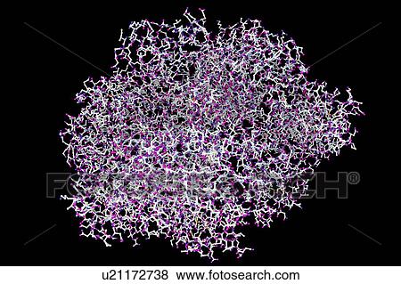 Anthrax oedema factor. Molecular model of oedema factor (EF) from the anthrax bacterium Bacillus anthracis complexed with a calmodulin protein molecule. EF is one of three protein components that form the anthrax toxin. It is an enzyme that interferes... View Large Photo Image Stock Photo - Anthrax oedema factor. Molecular model of oedema factor (EF) from the anthrax bacterium Bacillus anthracis complexed with a calmodulin protein molecule. EF is one of three protein components that form the anthrax toxin. It is an enzyme that interferes.... Fotosearch