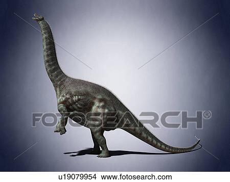 Apatosaurus, computer illustration. View Large Photo Image Picture - Apatosaurus, computer illustration.. Fotosearch