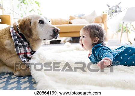 Baby girl and dog lying on rug View Large Photo Image Stock Photo - Baby girl and dog lying on rug. Fotosearch