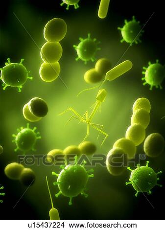 Picture - Bacteria and virus, computer illustration.. Fotosearch