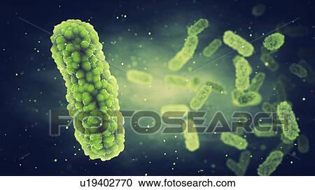 Stock Image - Bacteria, illustration.. Fotosearch