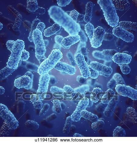 Stock Photograph - Bacteria, illustration.. Fotosearch
