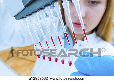 Biological research. View Large Photo Image Stock Image - Biological research.. Fotosearch
