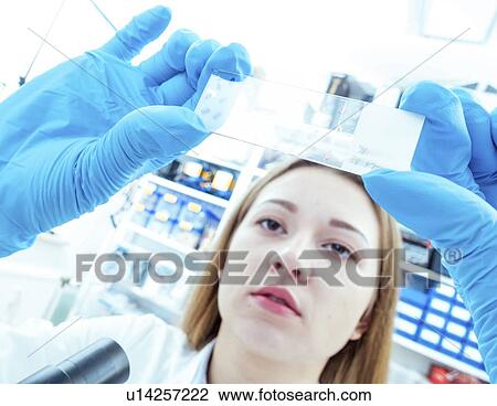 Biological research. View Large Photo Image Stock Image - Biological research.. Fotosearch