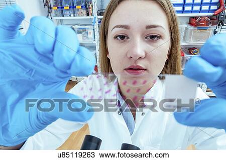 Stock Image - Biological research.. Fotosearch