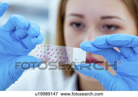 Biological research. View Large Photo Image Stock Photo - Biological research.. Fotosearch