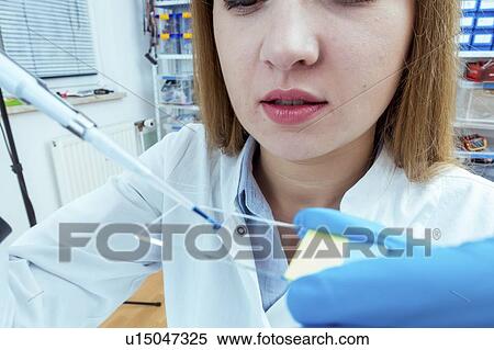 Biological research. View Large Photo Image Stock Photography - Biological research.. Fotosearch