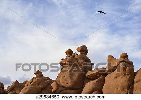 Stock Image - Bird flying above rock formation in Goblin Valley State Park, Utah. Fotosearch