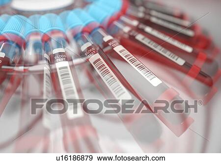 Stock Photo - Blood samples in centrifuge, illustration.. Fotosearch
