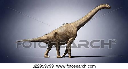Stock Photo - Brachiosaurus, computer illustration.. Fotosearch