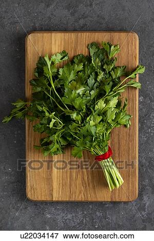 Stock Photo - Bunch of parsley on cutting board. Fotosearch