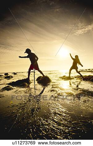 Children exploring tide pools in La Jolla, California View Large Photo Image Stock Photo - Children exploring tide pools in La Jolla, California. Fotosearch