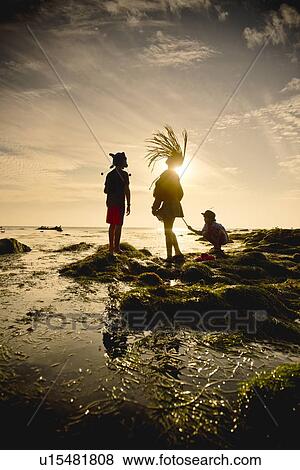 Stock Photo - Children exploring tide pools in La Jolla, California. Fotosearch