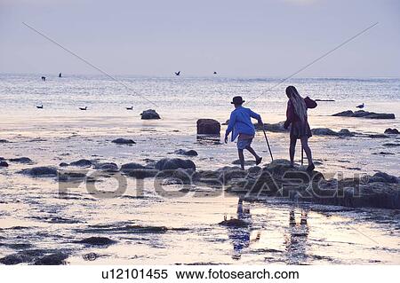 Children exploring tide pools in La Jolla, California View Large Photo Image Stock Photography - Children exploring tide pools in La Jolla, California. Fotosearch
