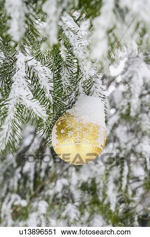 Christmas decorations and snow on pine tree View Large Photo Image Stock Image - Christmas decorations and snow on pine tree. Fotosearch
