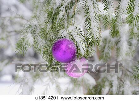 Christmas decorations and snow on pine tree View Large Photo Image Stock Image - Christmas decorations and snow on pine tree. Fotosearch