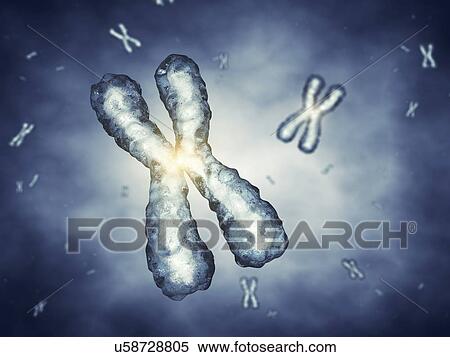 Chromosomes, illustration. View Large Photo Image Stock Photography - Chromosomes, illustration.. Fotosearch