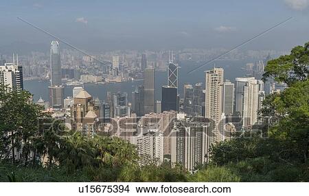 Cityscape behind trees in Hong Kong, China View Large Photo Image Picture - Cityscape behind trees in Hong Kong, China. Fotosearch