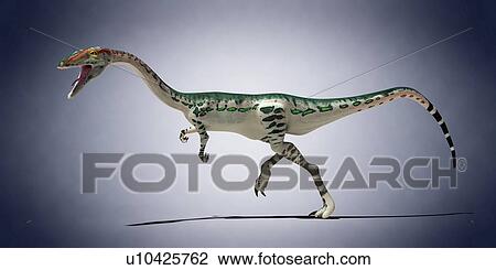 Stock Image - Coelophysis, computer illustration.. Fotosearch