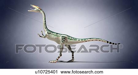 Stock Image - Coelophysis, computer illustration.. Fotosearch