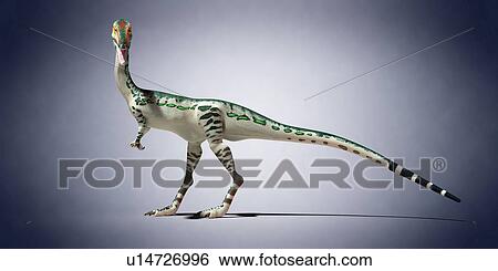 Stock Photograph - Coelophysis, computer illustration.. Fotosearch