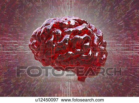 Computer illustration of a human brain. View Large Photo Image Stock Photo - Computer illustration of a human brain.. Fotosearch
