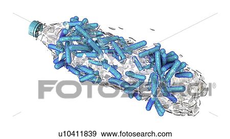 Stock Photo - Computer illustration of Ideonella sakaiensis bacteria degrading a plastic bottle. I. sakaiensis was discovered in 2016 in sediment near a plastic bottle recycling facility in Japan. It is able to use the plastic polyethylene terephthalate (PET) as.... Fotosearch