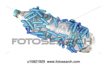 Stock Photo - Computer illustration of Ideonella sakaiensis bacteria degrading a plastic bottle. I. sakaiensis was discovered in 2016 in sediment near a plastic bottle recycling facility in Japan. It is able to use the plastic polyethylene terephthalate (PET) as.... Fotosearch