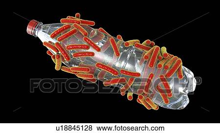 Stock Photo - Computer illustration of Ideonella sakaiensis bacteria degrading a plastic bottle. I. sakaiensis was discovered in 2016 in sediment near a plastic bottle recycling facility in Japan. It is able to use the plastic polyethylene terephthalate (PET) as.... Fotosearch