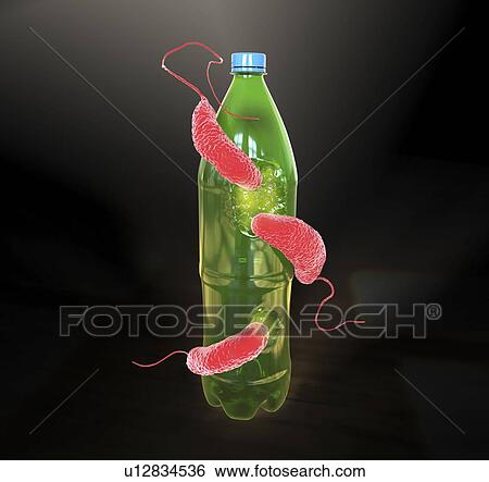 Stock Photograph - Computer illustration of Ideonella sakaiensis bacteria degrading a plastic bottle. I. sakaiensis was discovered in 2016 in sediment near a plastic bottle recycling facility in Japan. It is able to use the plastic polyethylene terephthalate (PET) as.... Fotosearch