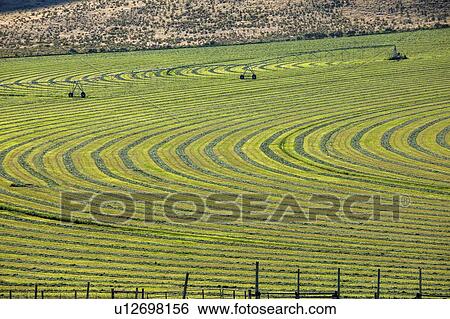 Crop field View Large Photo Image Stock Photograph - Crop field. Fotosearch