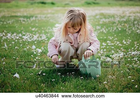 Cute girl in field with basket picking flower petal, Arezzo, Tuscany, Italy View Large Photo Image Picture - Cute girl in field with basket picking flower petal, Arezzo, Tuscany, Italy. Fotosearch