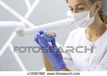 Dental assistant holding model teeth View Large Photo Image Stock Image - Dental assistant holding model teeth. Fotosearch