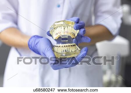 Stock Photo - Dental assistant holding model teeth with braces. Fotosearch