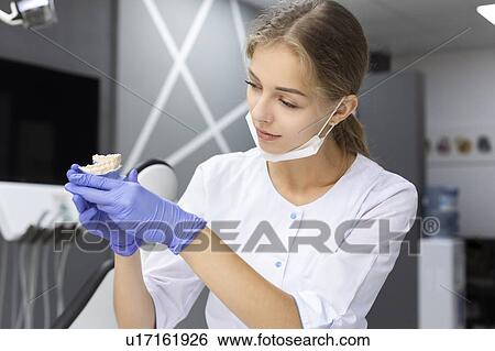 Stock Photograph - Dental assistant holding model teeth. Fotosearch