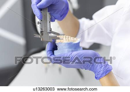 Dental assistant measuring model teeth View Large Photo Image Stock Image - Dental assistant measuring model teeth. Fotosearch