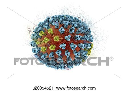 Stock Image - Destruction of bird flu virus, conceptual 3D illustration. This is an avian influenza H5N8 virus particle. This strain of the virus has caused disease in wild birds and poultry in Europe and Asia since June 2016. Unusually, the virus causes mortality.... Fotosearch