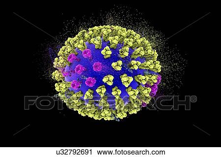 Stock Image - Destruction of bird flu virus, conceptual 3D illustration. This is an avian influenza H5N8 virus particle. This strain of the virus has caused disease in wild birds and poultry in Europe and Asia since June 2016. Unusually, the virus causes mortality.... Fotosearch