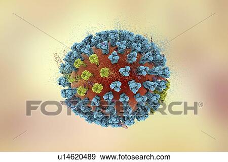 Stock Photo - Destruction of bird flu virus, conceptual 3D illustration. This is an avian influenza H5N8 virus particle. This strain of the virus has caused disease in wild birds and poultry in Europe and Asia since June 2016. Unusually, the virus causes mortality.... Fotosearch