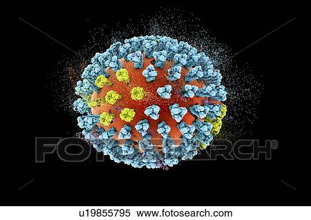 Stock Photography - Destruction of bird flu virus, conceptual 3D illustration. This is an avian influenza H5N8 virus particle. This strain of the virus has caused disease in wild birds and poultry in Europe and Asia since June 2016. Unusually, the virus causes mortality.... Fotosearch
